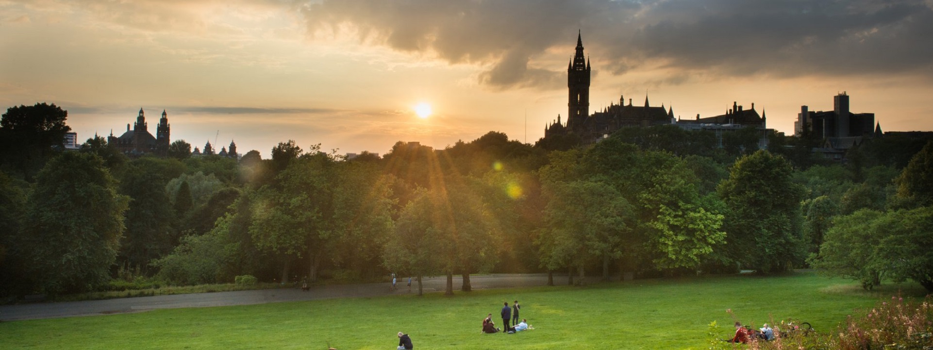 “The summer night is like a perfection of thought.” — Wallace Stevens