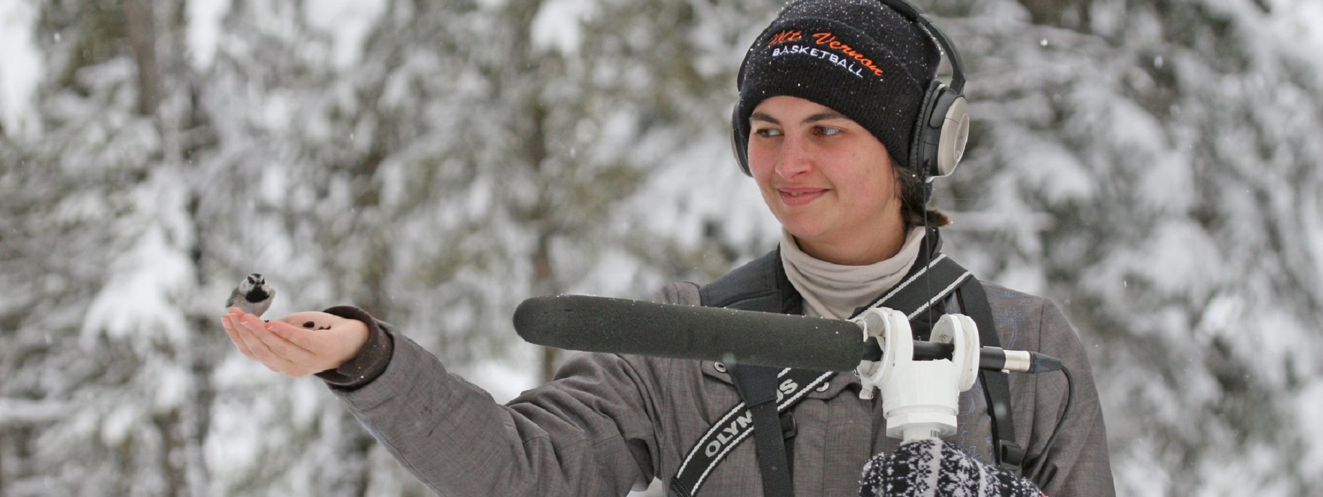 "The little bird that doesn’t fly dies in the nest." (Toni Morrison, 'Song of Solomon')