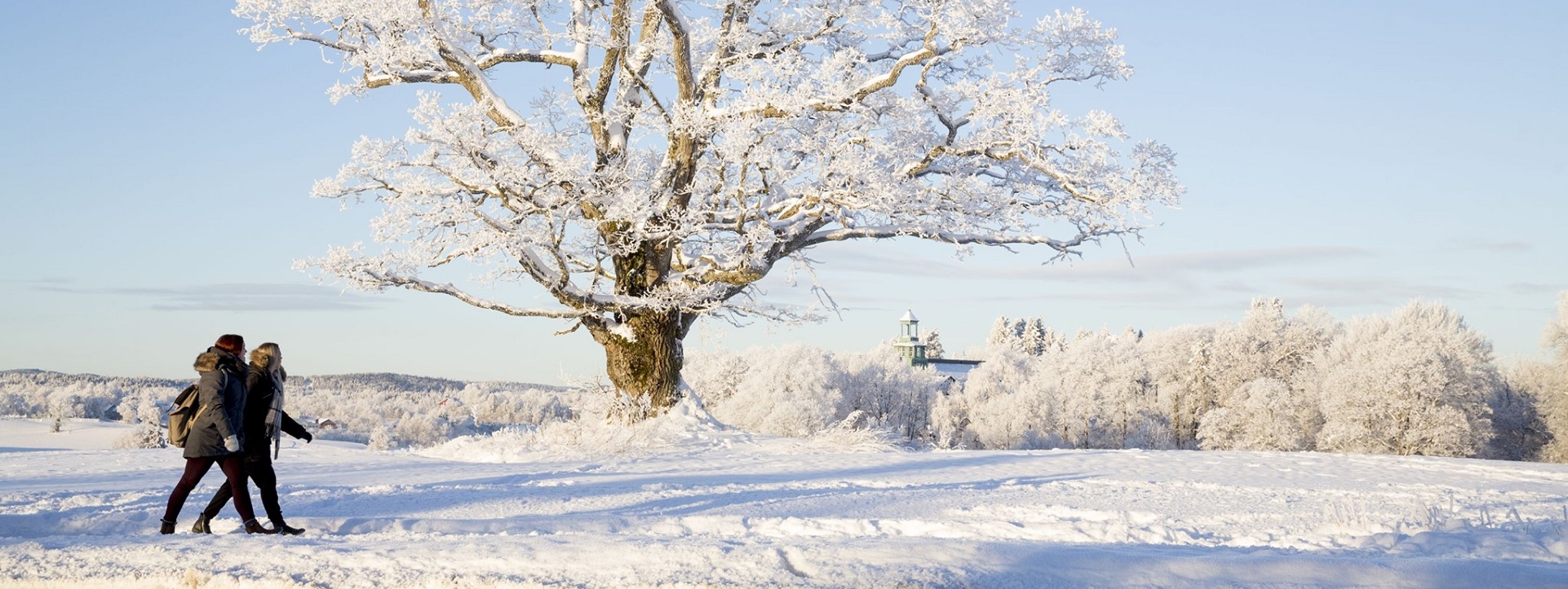 "There is no bad weather, only bad clothes." – Norwegian Proverb