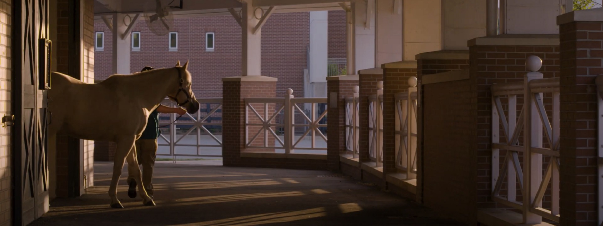 "There is something about the outside of a horse that is good for the inside of a man." - Winston Churchill